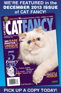 Cat Fancy Dec 2013 D copy.png